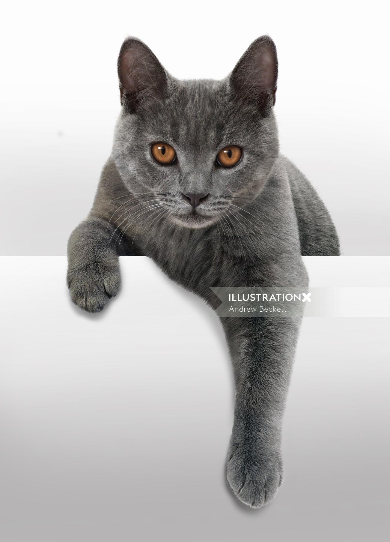 Ilustración fotorrealista de gato por Andrew Beckett