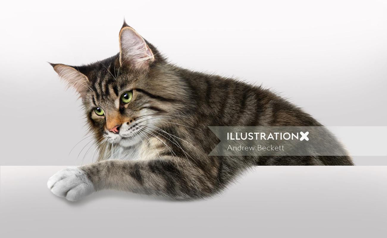 Photo realistic of cat by Andrew Beckett