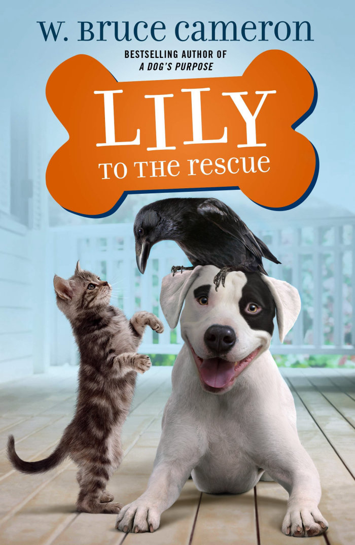 Capa do livro Lily To The Rescue