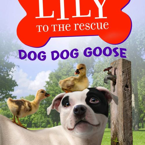Front jacket of Lily To The Rescue book series