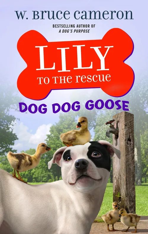 Front jacket of Lily To The Rescue book series