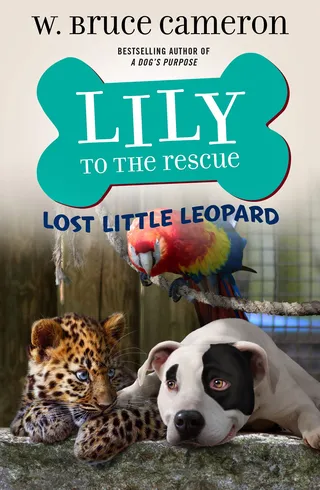 「Lily to the Rescue」シリーズ書籍の表紙イラスト