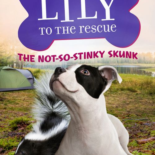 "Lily to the Rescue" book front cover