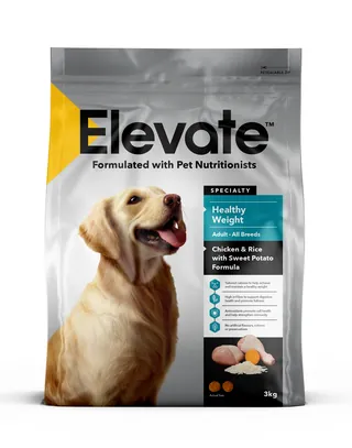 Pet food bag with golden retriever image and nutrition info by Andrew Beckett