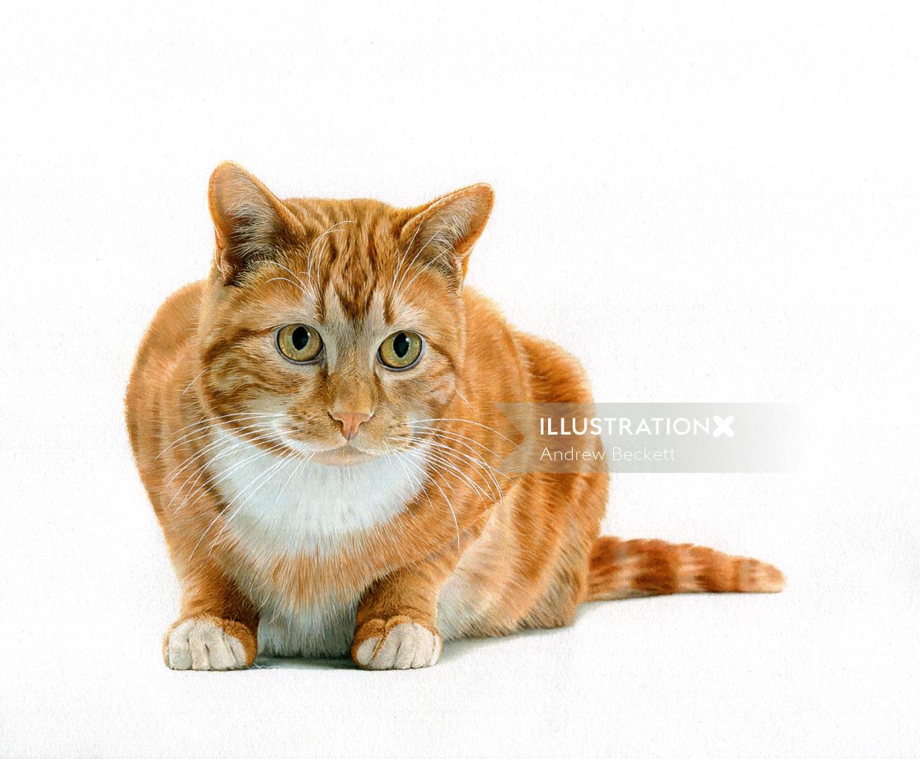 Ginger cats have red-to-orange tabbies