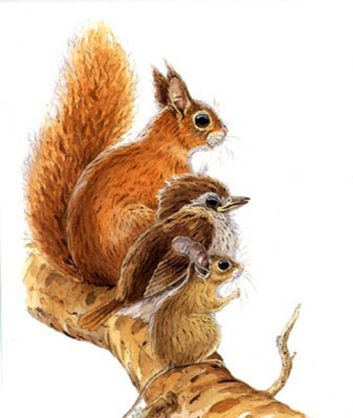 Pássaro e coelhos na ilustração de galho de árvore