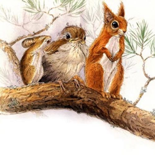 Watercolour painting of rabbit, mouse & bird