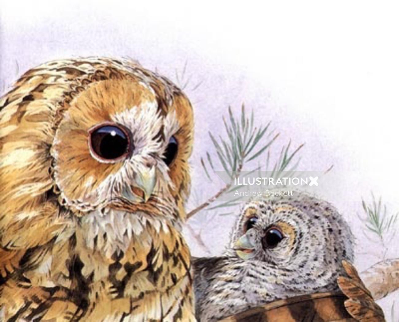 Graphic illustration of owl with baby owl