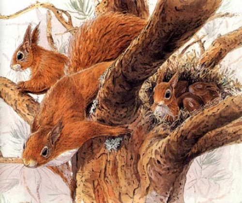 Uma ilustração de esquilos na árvore