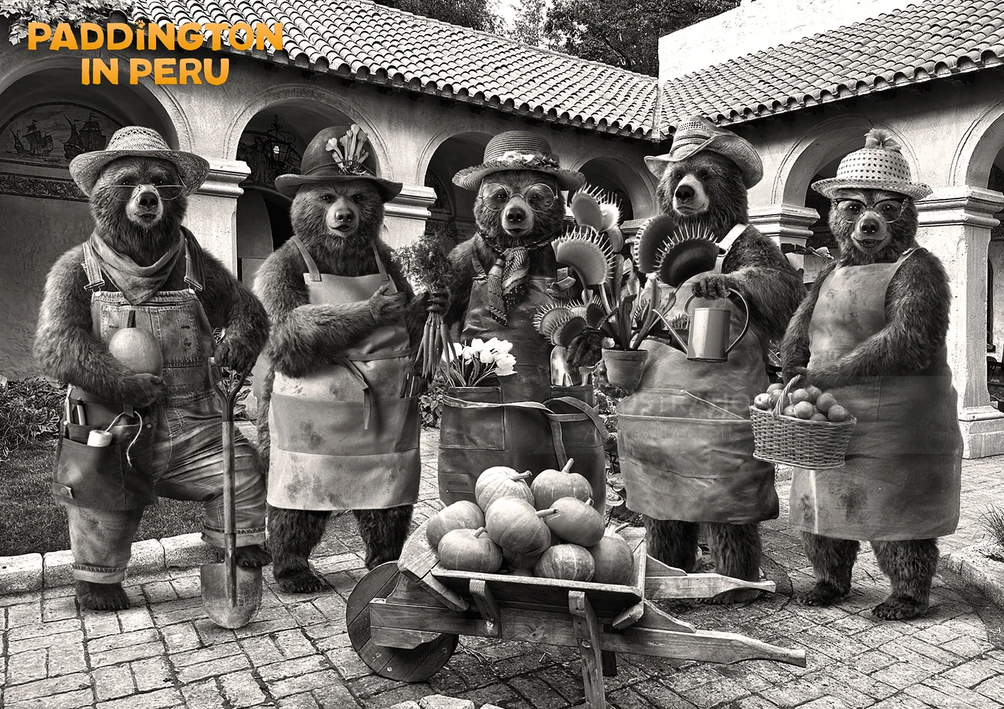 Fünf Paddington Bären in traditioneller peruanischer Kleidung mit Früchten und Körben