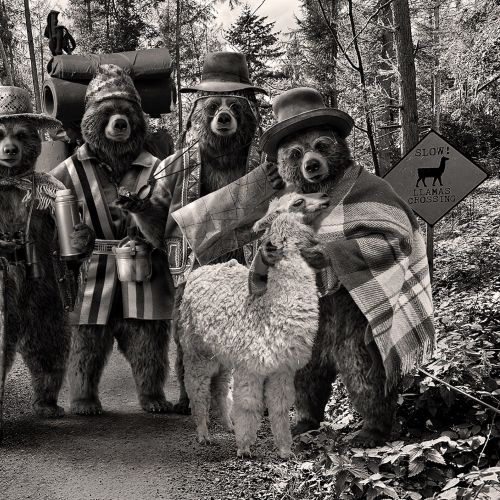 Four anthropomorphic bears wearing Peruvian clothing with an alpaca on a forest path.