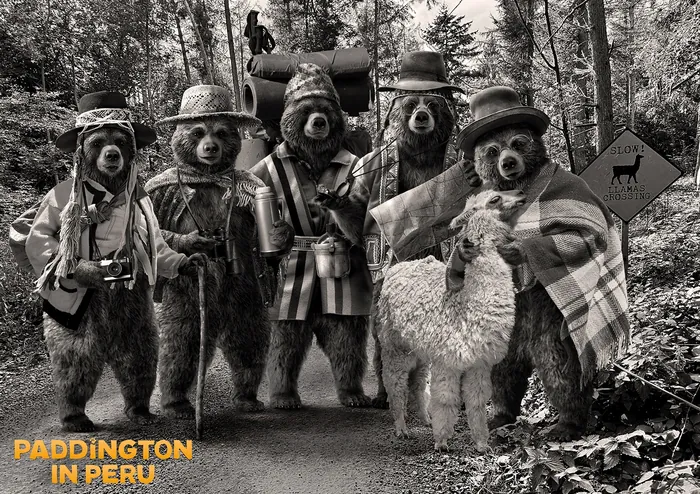 Four anthropomorphic bears wearing Peruvian clothing with an alpaca on a forest path.
