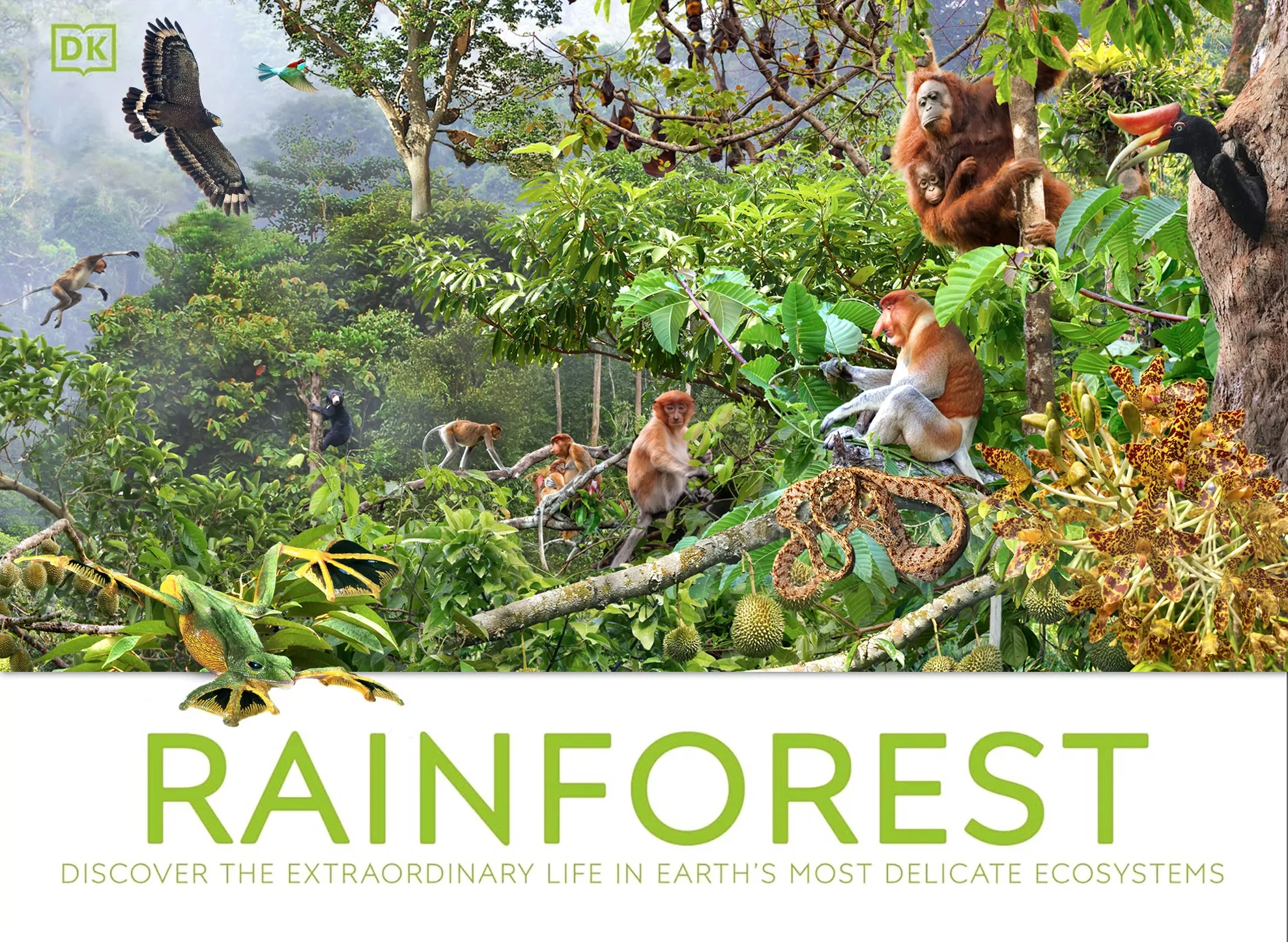 Escena colorida de la selva tropical con diversos animales y exuberante vegetación.