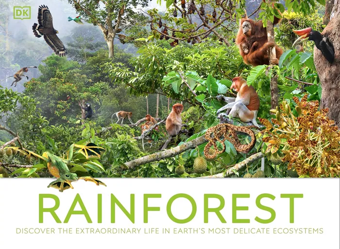 Colorful rainforest scene with diverse animals and lush vegetation