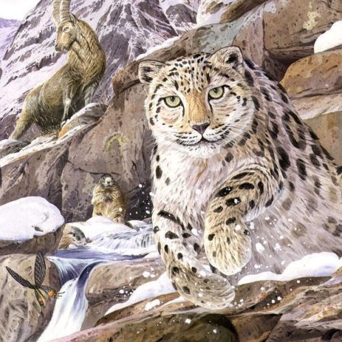 Wildlife Illustration By Andrew Beckett