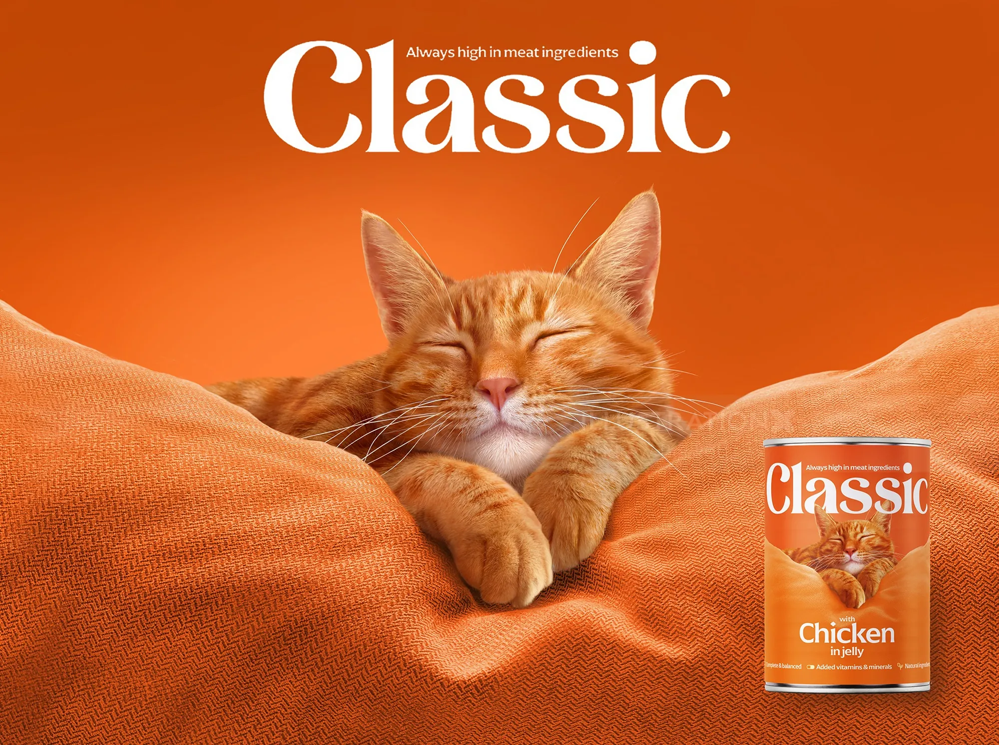 Ginger cat resting on orange pillows next to Classic cat food can by Andrew Beckett