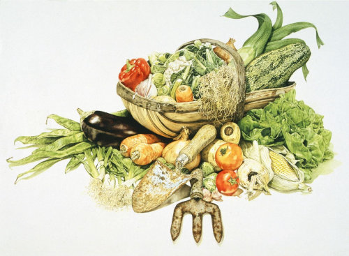 Graphical illustration of vegetabuls 