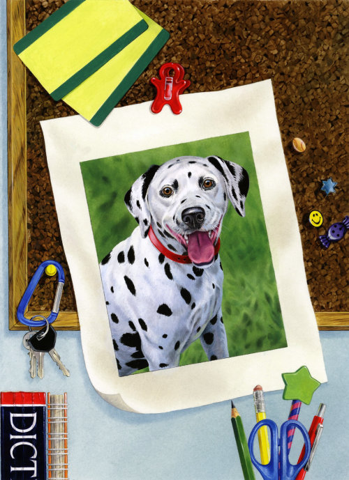 Série Pet Finders Club pour Scholastic USA - Une illustration d&#39;Andrew Beckett
