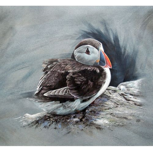 Puffin Bird Gouache Painting