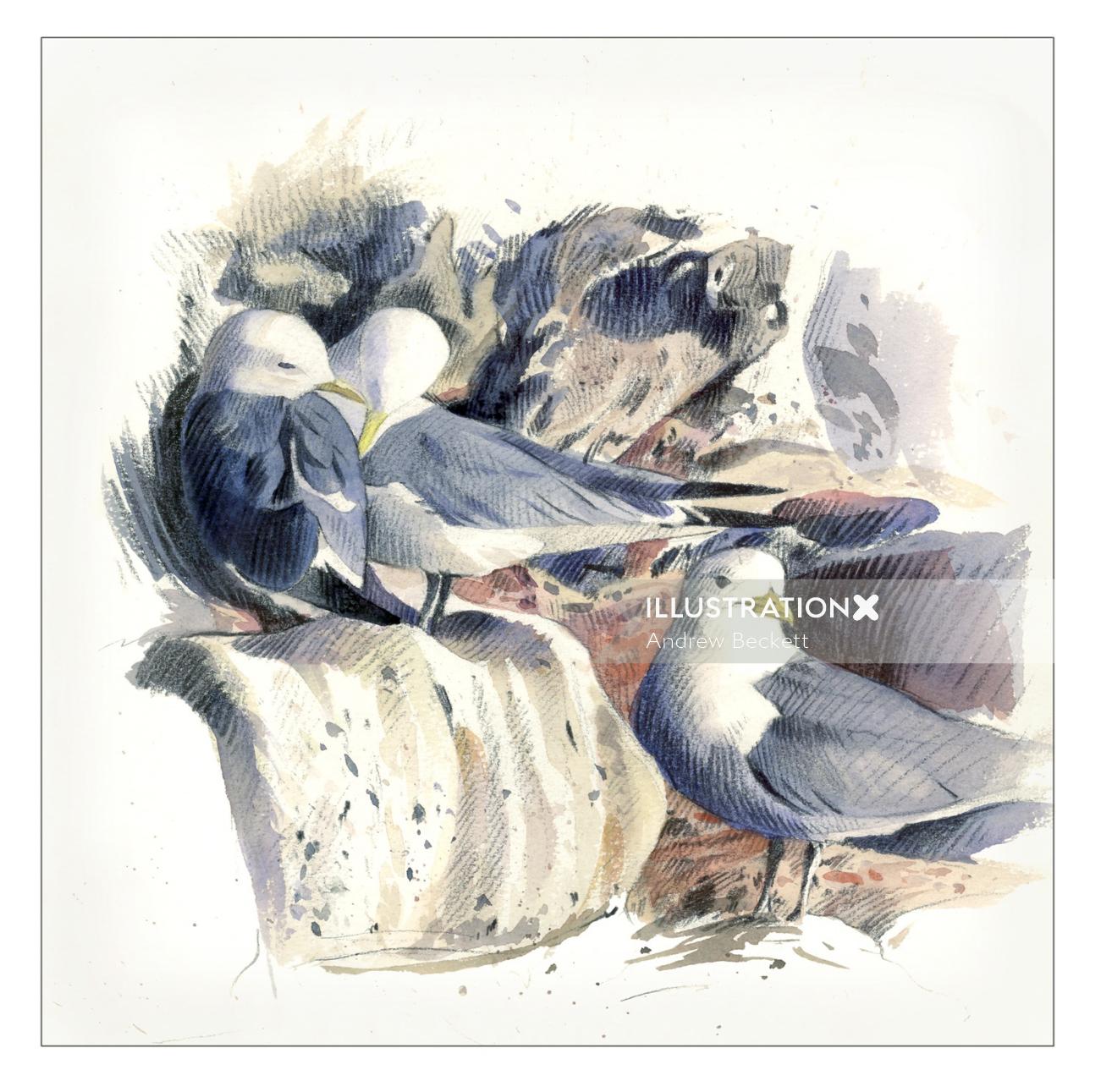 Pintura de acuarela para gaviotas tridáctilas