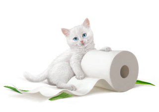 Publicidade de papel higiênico KittenSoft