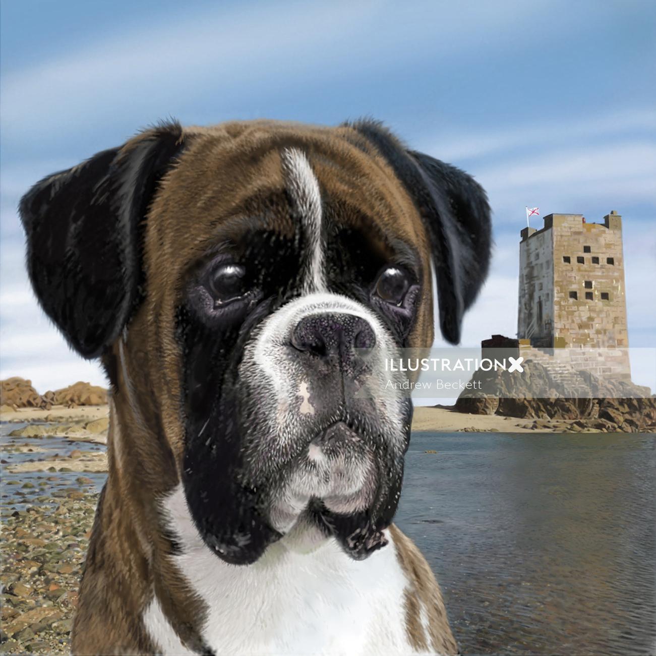Retrato de la ilustración del perro Boxer por Andrew Beckett