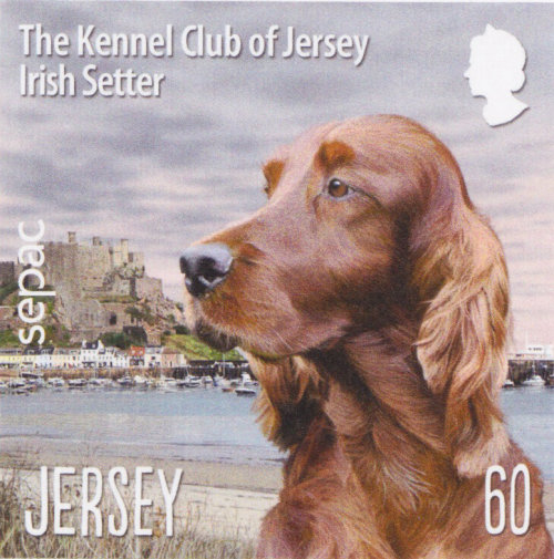 Ilustração de Labrador Retriever para selos postais de Jersey por Andrew Beckett