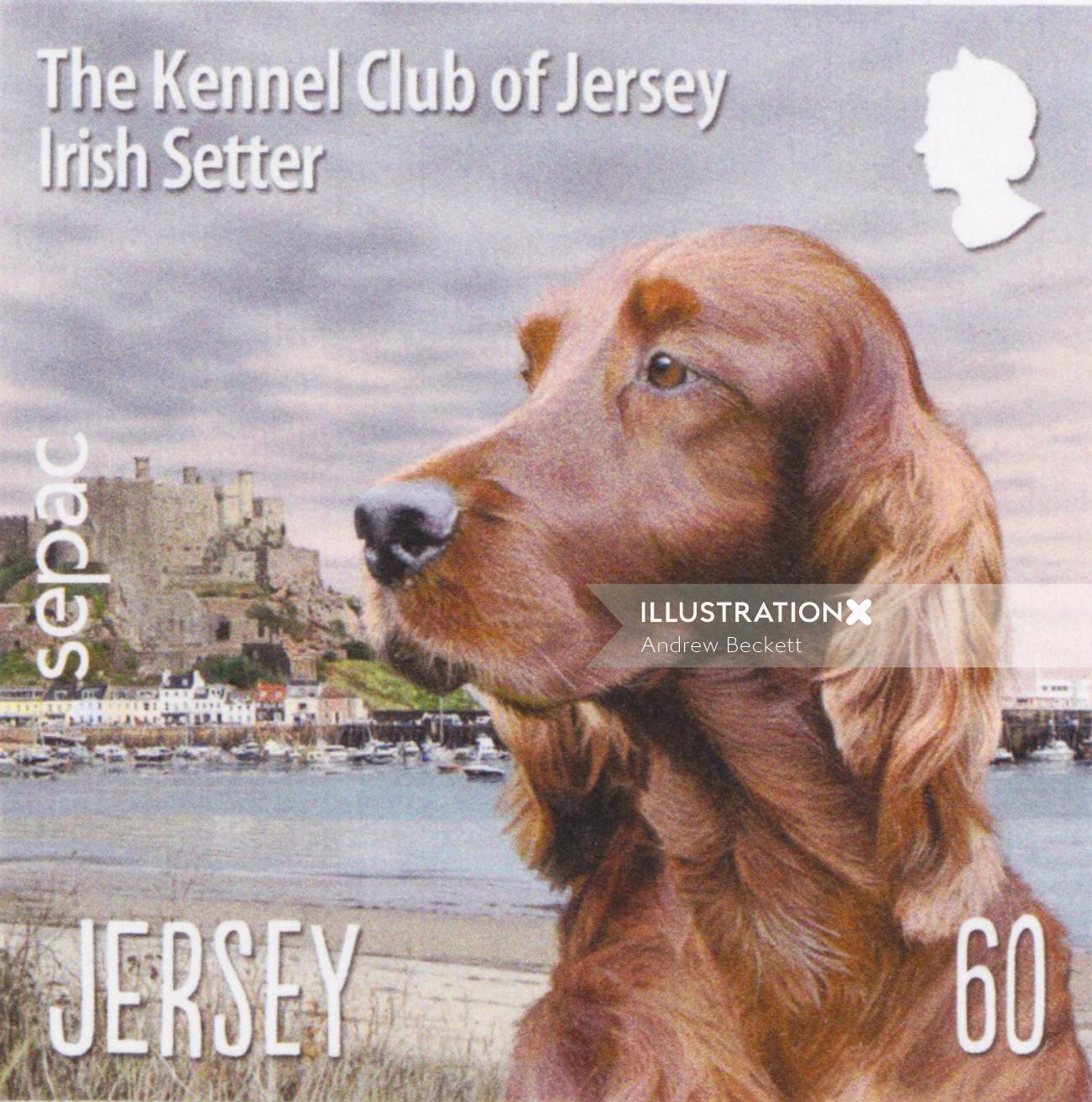 Ilustración de Labrador Retriever para sellos postales de Jersey por Andrew Beckett