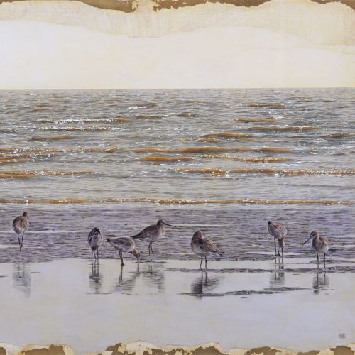 Black-tailed Godwit birds at beach - An illustration by Andrew Beckett