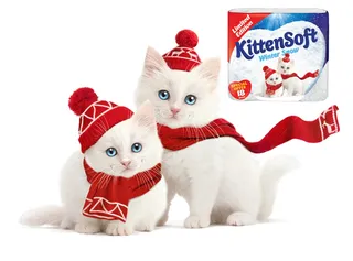 KittenSoft 製品のイラスト