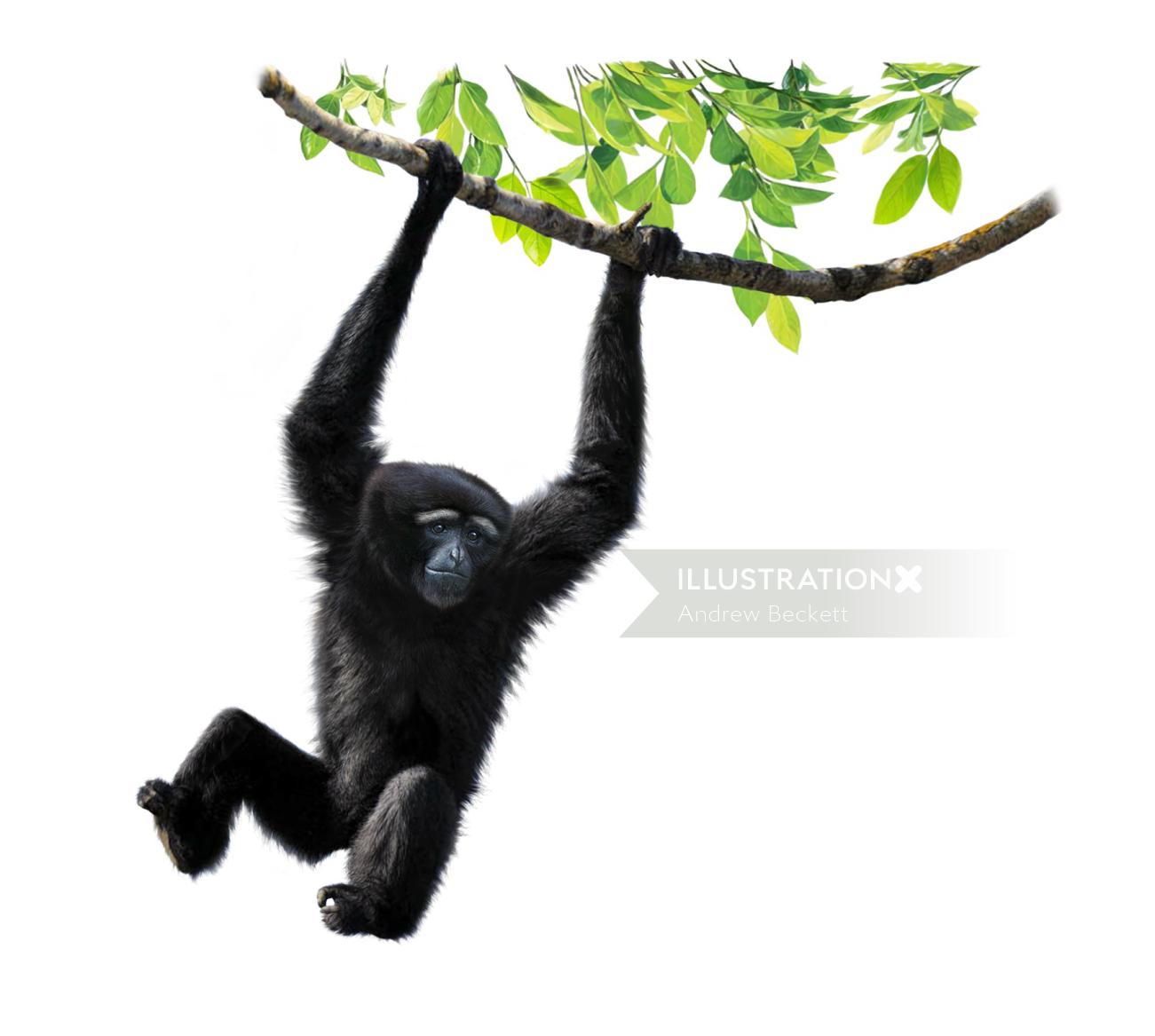 Ilustraciones de un chimpancé colgado de un árbol