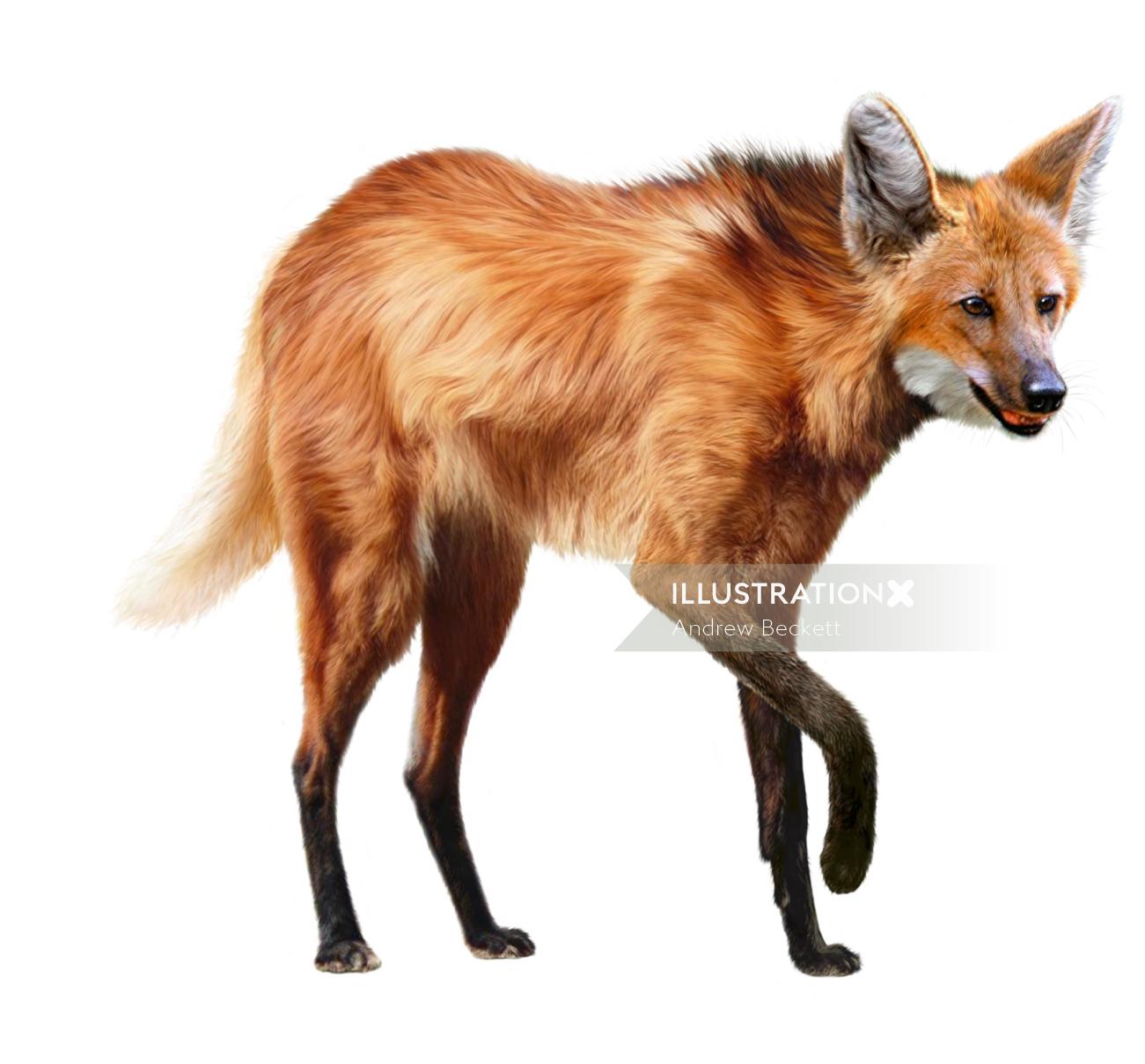 Wildlife Painting of Fox