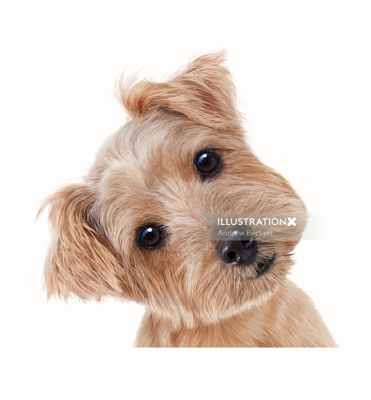 Puppy dog | Animals illustration
