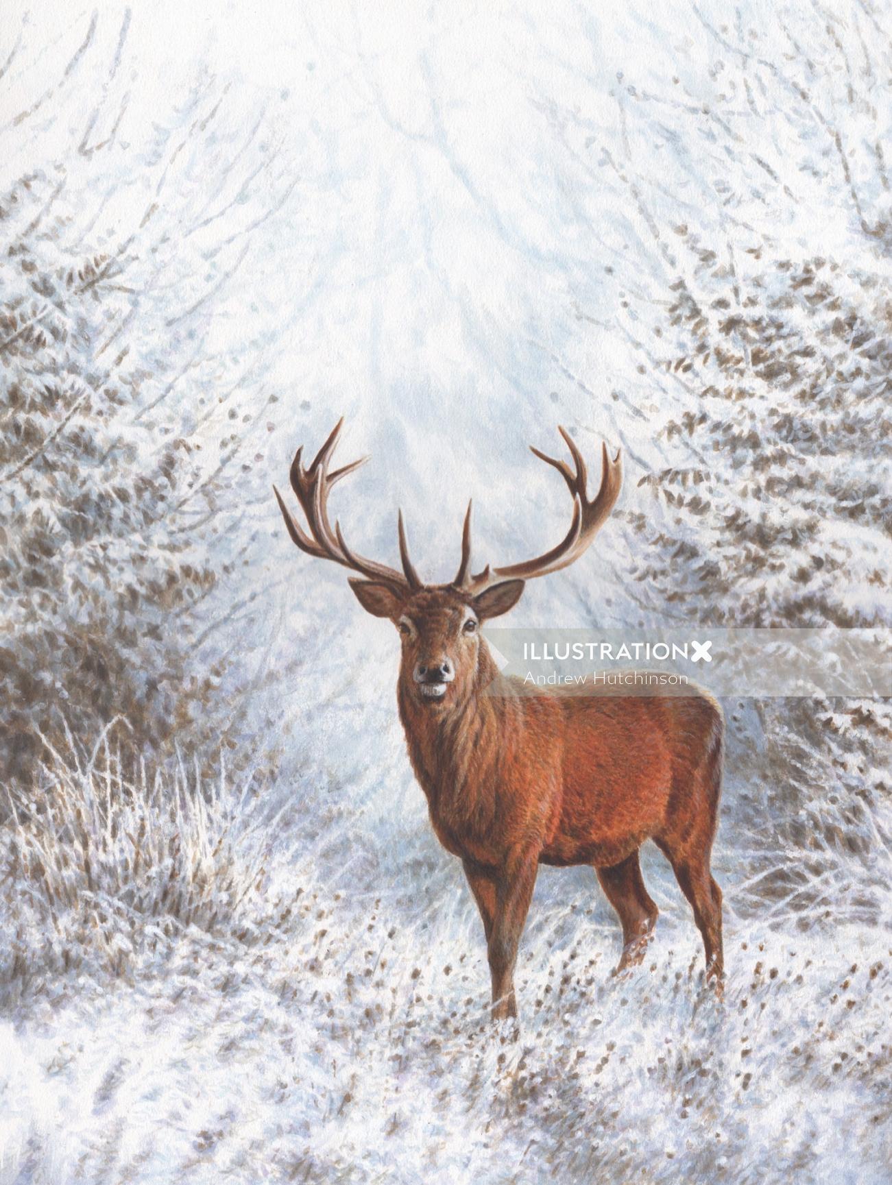 Winter Stag | Wildlife illustration