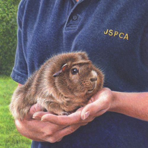 Pet-caring volunteers from the Jersey Post