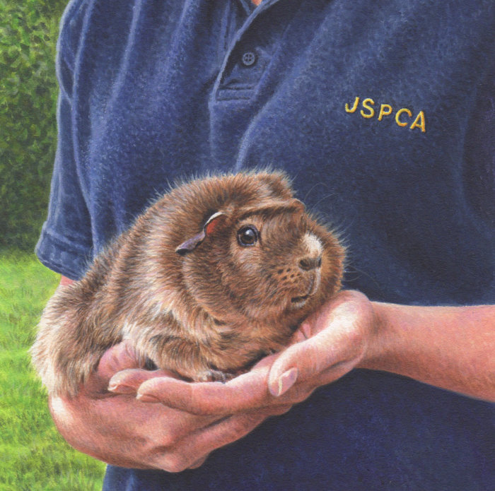 Voluntários que cuidam de animais de estimação do Jersey Post