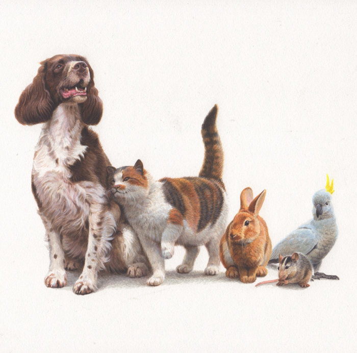Peinture à l&#39;huile d&#39;animaux domestiques pour Jersey Post