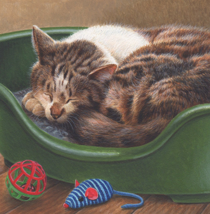 Illustration de chats endormis pour Jersey Post