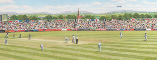 Illustration d&#39;un terrain de cricket pour l&#39;emballage du Yorkshire Tea