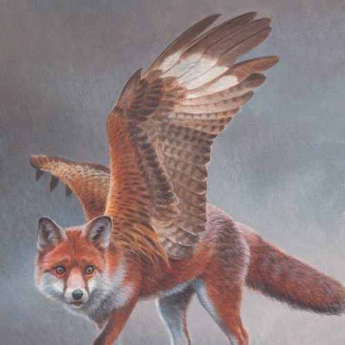 Flying Fox oil painting by Andrew Hutchinson