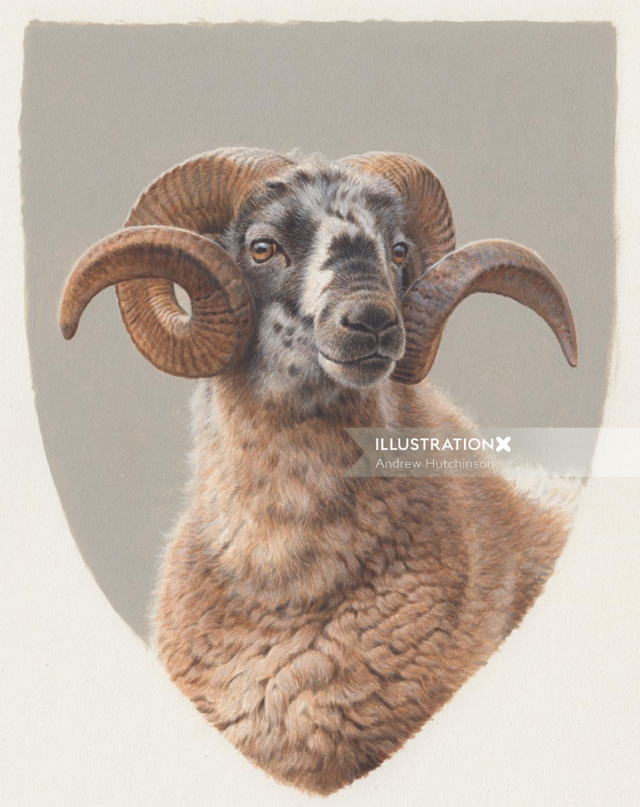 Representation of a black-faced sheep