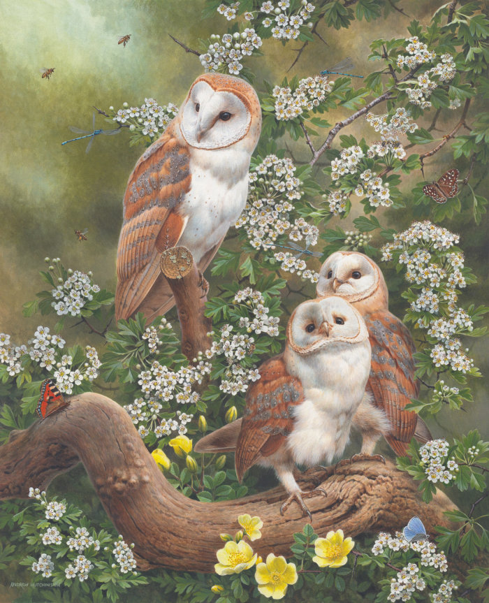 Realistic representation of Barn Owl & Bees