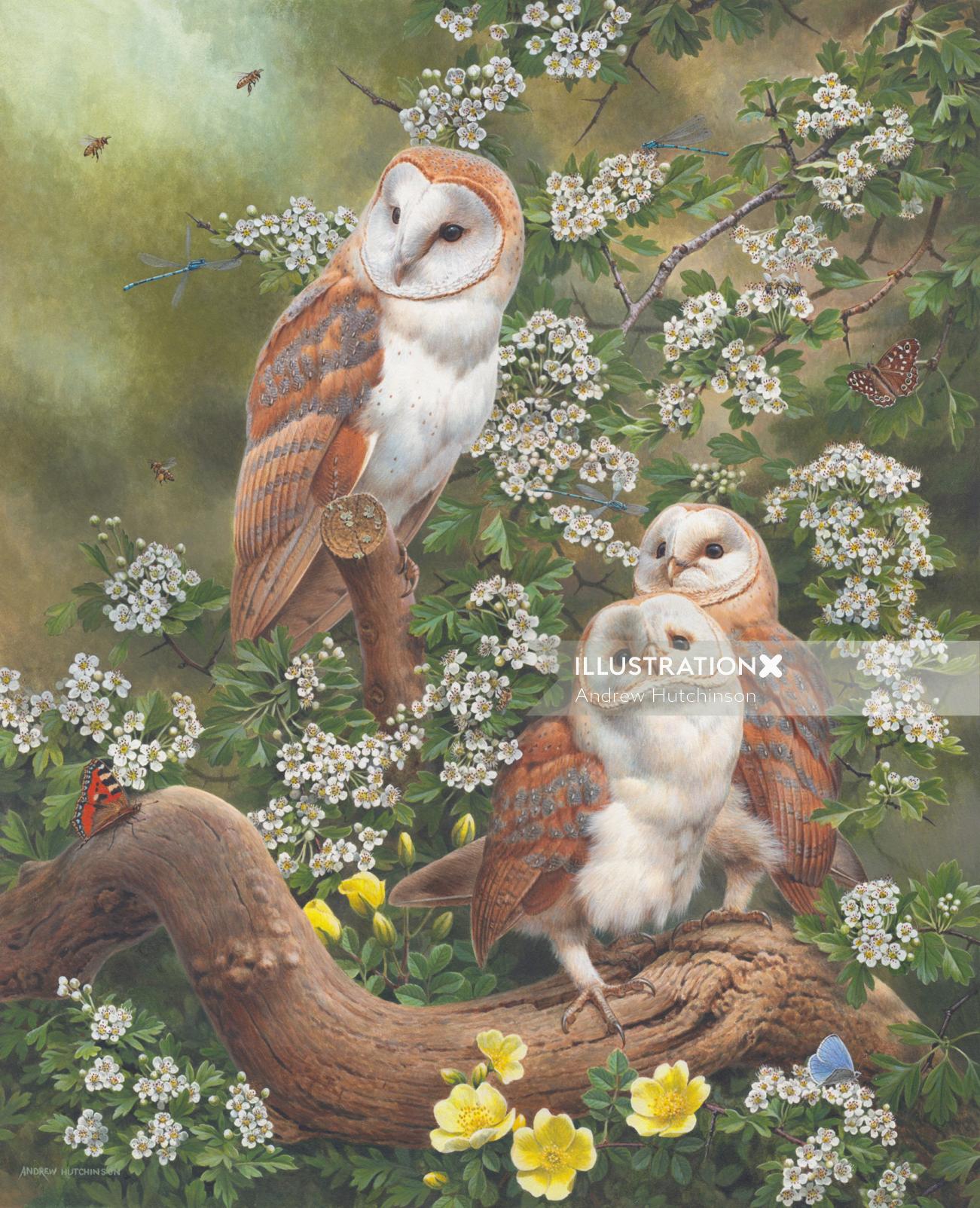 Nature barn owl & bees
