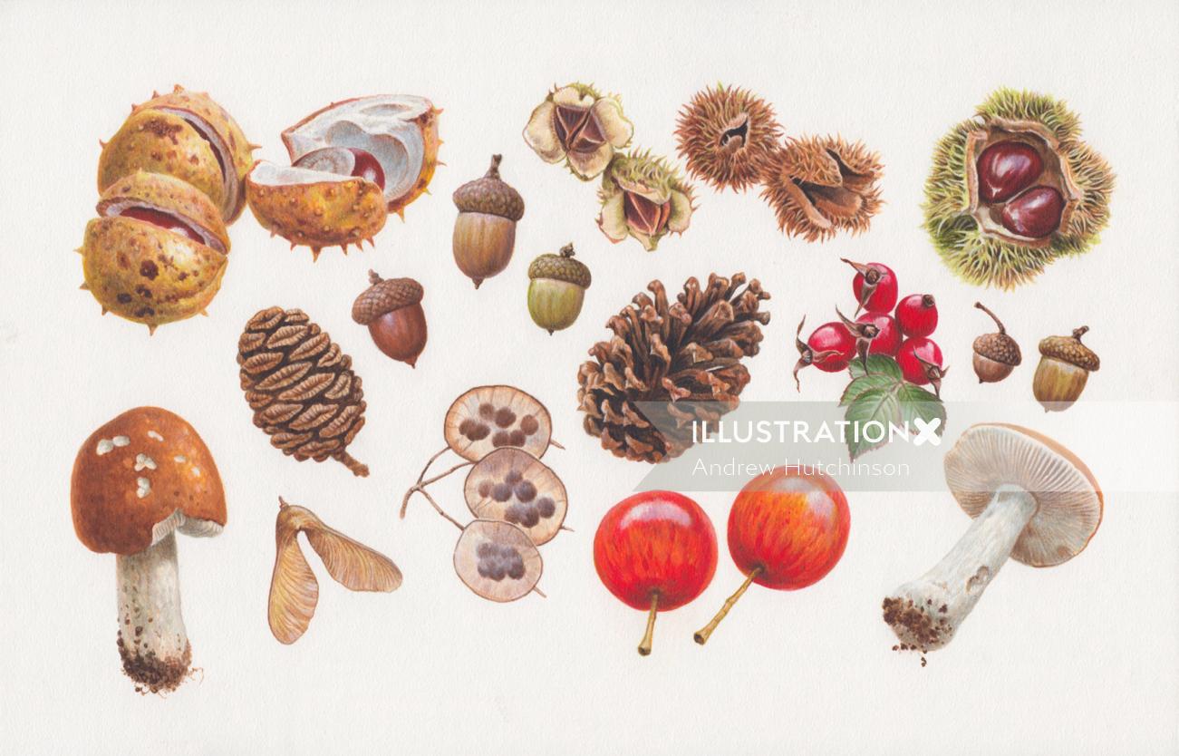 Fruit des bois en acrylique