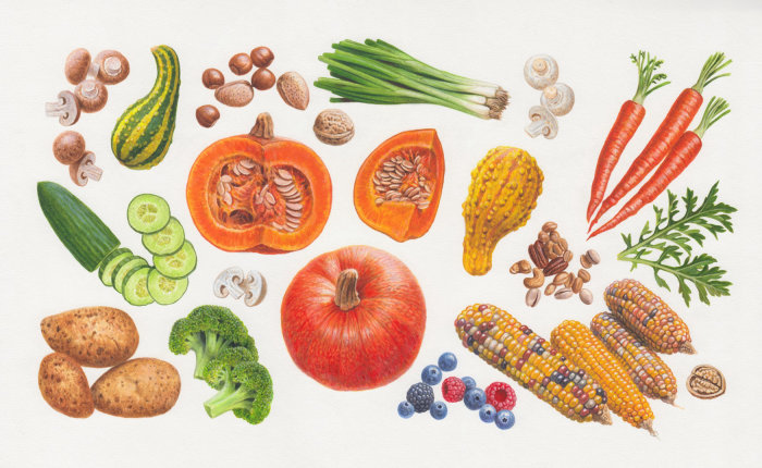 Ilustração alimentar de frutas e legumes orgânicos