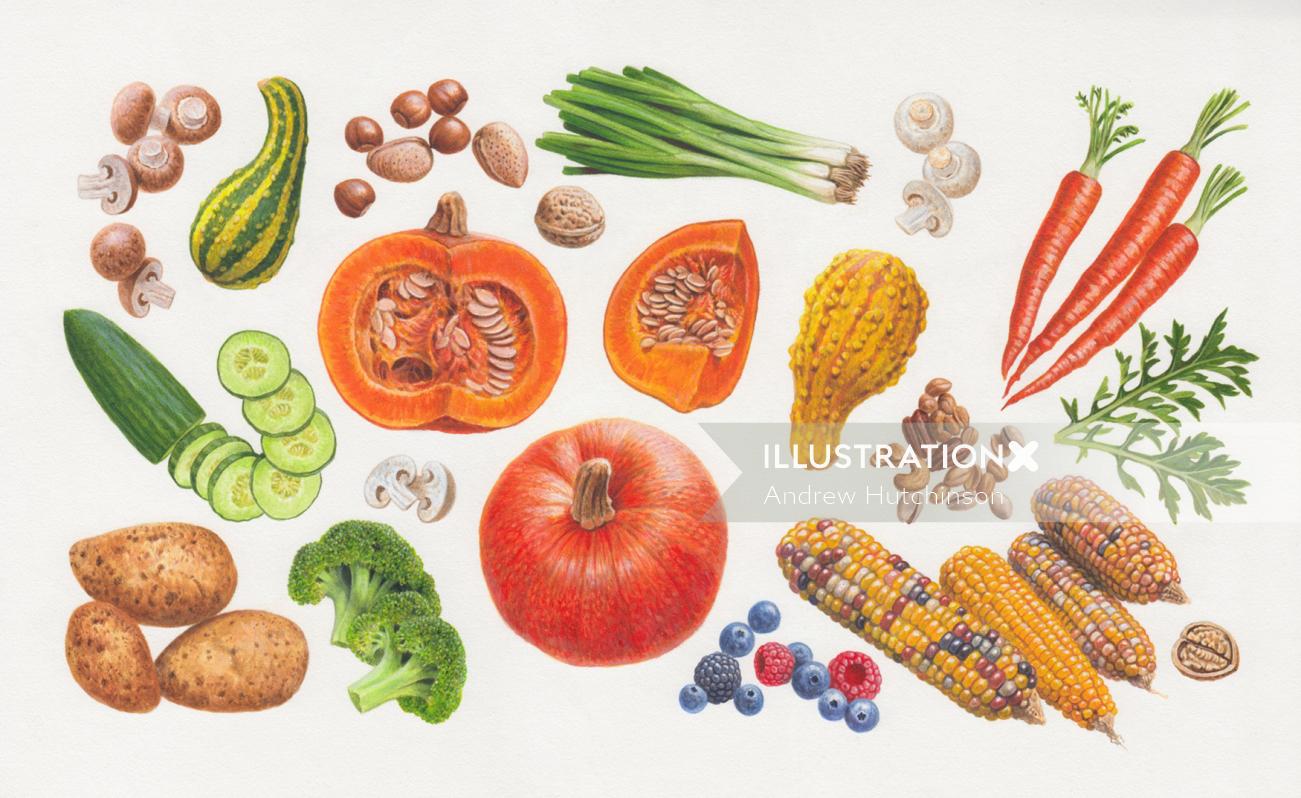 Food illustration of organic vegetables and fruits