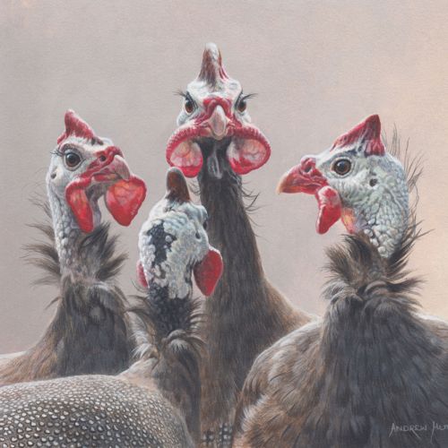 Artistic rendition of a real Guinea fowl