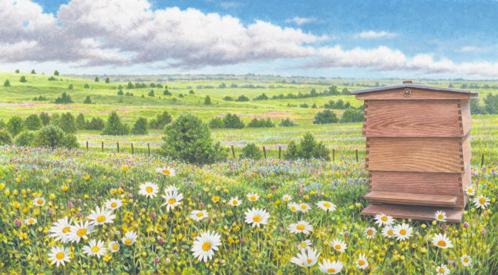 画中的蜂蜜草甸农场