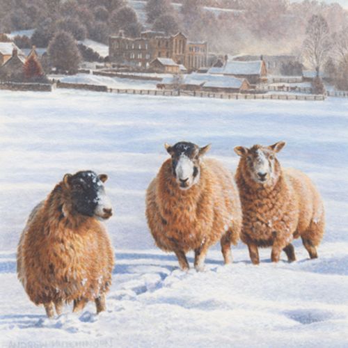 Andrew Hutchinson Animals Illustrator from UK