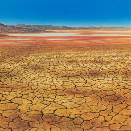 Dry landscape illustration